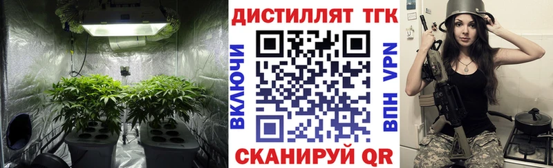 Дистиллят ТГК гашишное масло  Лермонтов 